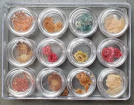 kwiatki-suszone-do-wtapiania-w-sloiczku-mix-wzorow-12szt-or-na383l