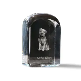 border-terrier-krysztalowa-kostka-ze-zdjeciem-zdjecie-psa-w-krysztale-s