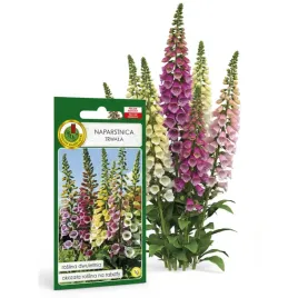 naparstnica-trwala-gloxiniaeflora-mieszana-1g-nasiona-piekne-kwiaty
