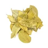 lisc-laurowy-200g-premium