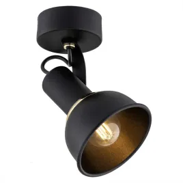 kinkiet-1-pl-twist-4900-argon