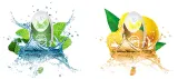 kulki-smakowe-cappz-mango-100szt-stan-nowy-stan-opakowania-oryginalne