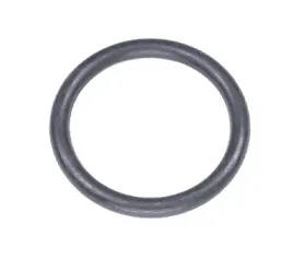 o-ring-pompy-gardena-2658x353-1769-20-6000-5
