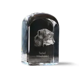 jamnik-i-krysztalowa-kostka-ze-zdjeciem-zdjecie-psa-w-krysztale-szescie