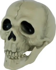 sztuczna-czaszka-z-ruchoma-szczeka-czacha-13-cm-dekoracja-halloween
