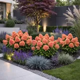 hortensja-bukietowa-petit-flori-nowa-kolekcjonerska-perelka-ladne-sadzonki-roslina-w-postaci-sadzonka-w-pojemniku-1-2l-kod-producenta-h-petit-nazwa-lacinska-hydrangea-paniculata