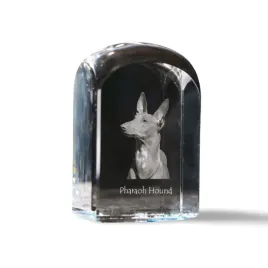 pies-faraona-chart-maltanski-krysztalowa-kostka-ze-zdjeciem-zdjecie-psa
