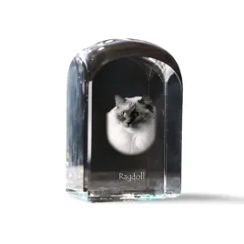 ragdoll-krysztalowa-kostka-ze-zdjeciem-zdjecie-kota-w-krysztale-szescie