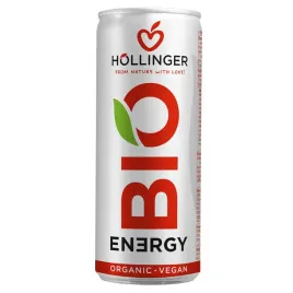 napoj-energetyzujacy-o-smaku-jablko-jezyna-bio-250-ml-hollinger