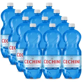 12x-woda-wysokonasycona-cechini-muszyna-wysokozmineralizowana-1l