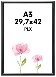 ramka-na-zdjecie-w-formacie-297x42-dyplom-certyfikat-zdjecie-wydruk