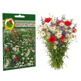 kwiatowa-laka-20g-nasiona-piekne-kwiaty