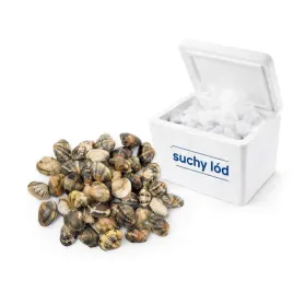 malze-wenus-lirowate-vongole-1kg-sea-story-vongole-w-suchym-lodzie-mrozone