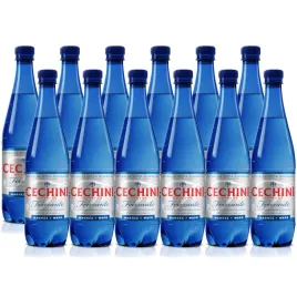 12x-woda-wysokonasycona-cechini-muszyna-frizzante-mineralna-075l