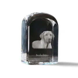 black-and-tan-coonhound-krysztalowa-kostka-ze-zdjeciem-zdjecie-psa-w-kry