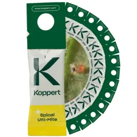 zestaw-dobroczynek-kalifornijski-vegano-15-szt