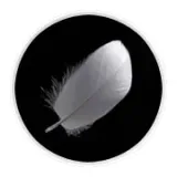 olivia-garden-fingerbrush-small-ionic-black-kolor-wielokolorowy-stan-nowy