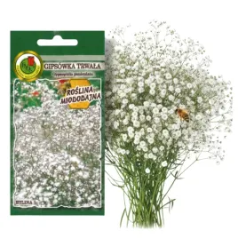 gipsowka-trwala-biala-05g-nasiona-piekne-kwiaty