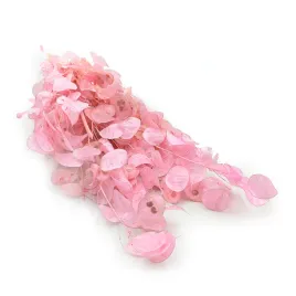 miesiecznica-lunaria-rozowa-polska