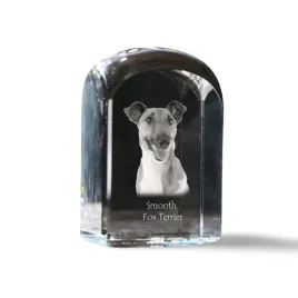 foksterier-krotkowlosy-krysztalowa-kostka-ze-zdjeciem-zdjecie-psa-w-kry