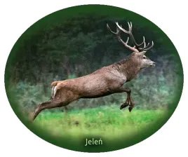 naklejka-jelen-02
