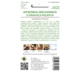 gipsowka-wiechowata-biala