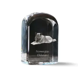 elkhund-norweski-elghund-szary-krysztalowa-kostka-ze-zdjeciem-zdjecie-p