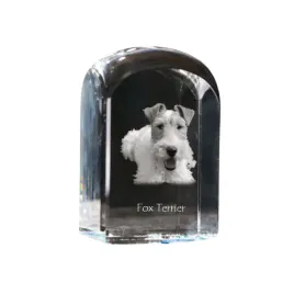 foksterier-szorstkowlosy-krysztalowa-kostka-ze-zdjeciem-zdjecie-psa-w-kr