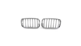 grill-bmw-x6-e71-e72-x5-e70-pojedyncze-zeberka-matt-silver