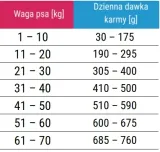 karma-dla-psa-forza10-echo-active-4kg-marka-inna