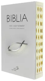 biblia-z-kolorowa-wkladka-oprawa-miekka-szara-paginacja