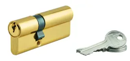 wkladka-do-zamka-ecopro-30x50-mm-mosiadzowana-3-klucze-blister