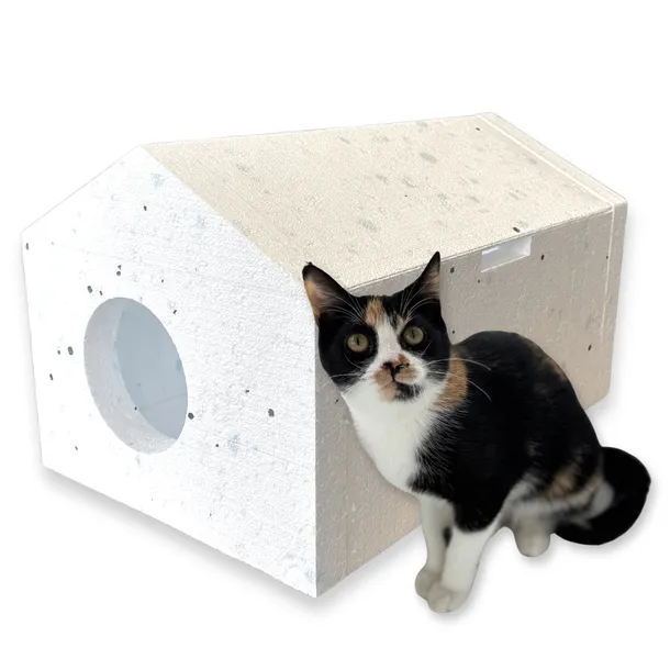 Domek budka DLA KOTA ze styropianu CIEPŁA box 59x39x35 cm ze skośnym dachem