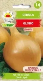 cebula-globo-bardzo-duze-cebule-nasiona-2g