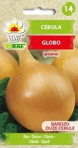 cebula-globo-bardzo-duze-cebule-nasiona-2g