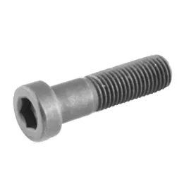 sruba-imbus-niska-din-7984-m5x40-8-8-cz-npgw-200szt