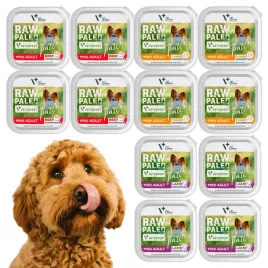 raw-paleo-pate-mini-adult-alu-tray-mix-12x150g
