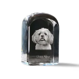 lhasa-apso-krysztalowa-kostka-ze-zdjeciem-zdjecie-psa-w-krysztale-szesc