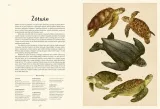 oceanarium-muzeum-oceanu