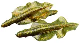 relax-guma-wing-shad-3-75-cm-1szt