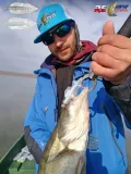 relax-guma-wing-shad-3-75-cm-1szt-marka-relax