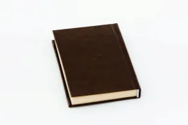 nabozenstwo-ku-czci-swietego-michala-archaniola