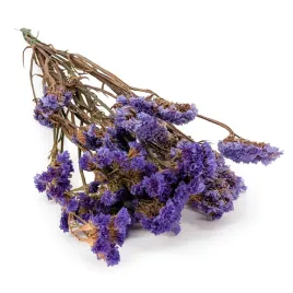stabilizowany-zatrwian-wrebny-limonium-sinuatum-fioletowy
