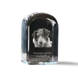 romanian-mioritic-shepherd-dog-krysztalowa-kostka-ze-zdjeciem-zdjecie-ps