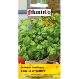 plantico-bazylia-wlasciwa