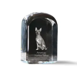 amerykanski-terier-bezwlosy-krysztalowa-kostka-ze-zdjeciem-zdjecie-psa-w