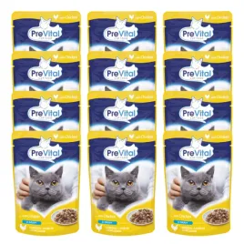 prevital-mokra-karma-dla-kota-kurczak-w-sosie-12x100g-zestaw