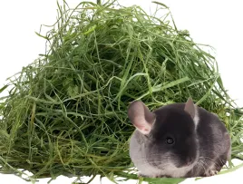 2-kg-siano-sianko-dla-szynszyli-z-piewszego-pokosu-naturalne-ekologiczne