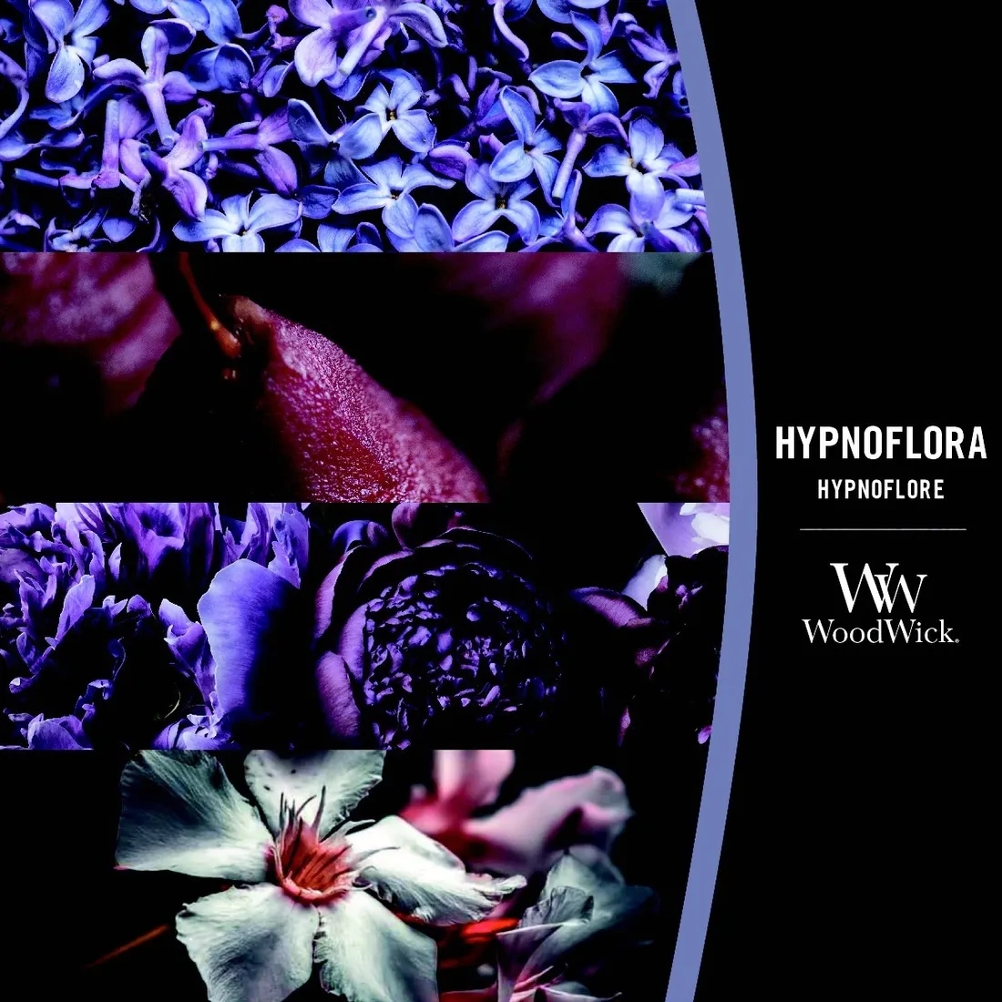 woodwick-elipsa-hypnoflora