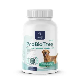 hippovet-probiotrex-dog-probiotyk-i-postbiotyk-dla-psow-50-kaps